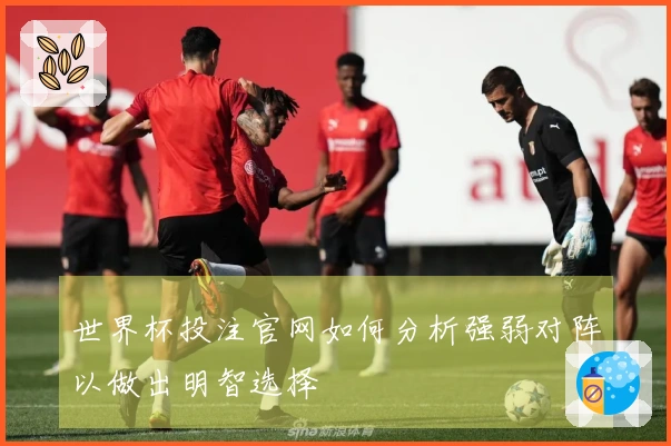 世界杯投注官网如何分析强弱对阵以做出明智选择