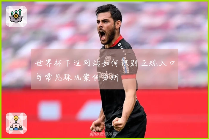 世界杯下注网站如何识别正规入口与常见踩坑案例分析