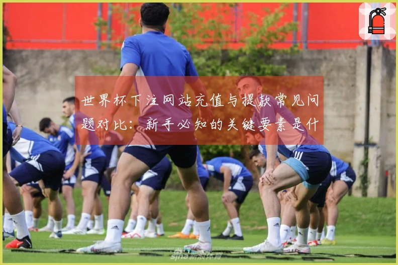 世界杯下注网站充值与提款常见问题对比：新手必知的关键要素是什么