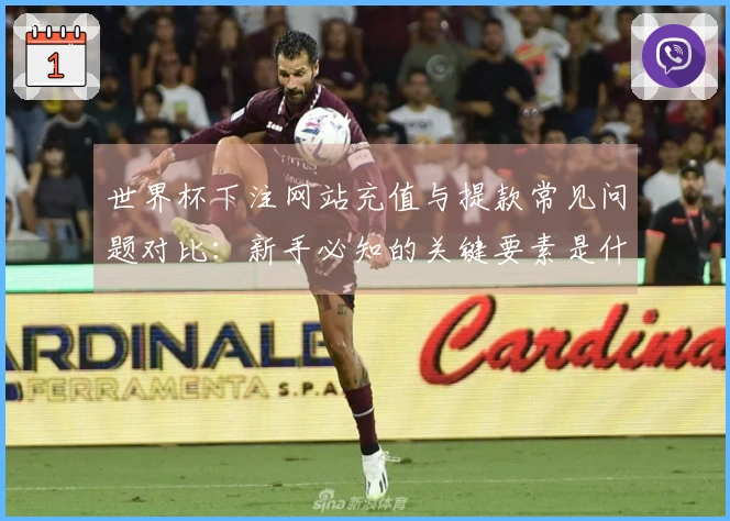 世界杯下注网站充值与提款常见问题对比：新手必知的关键要素是什么