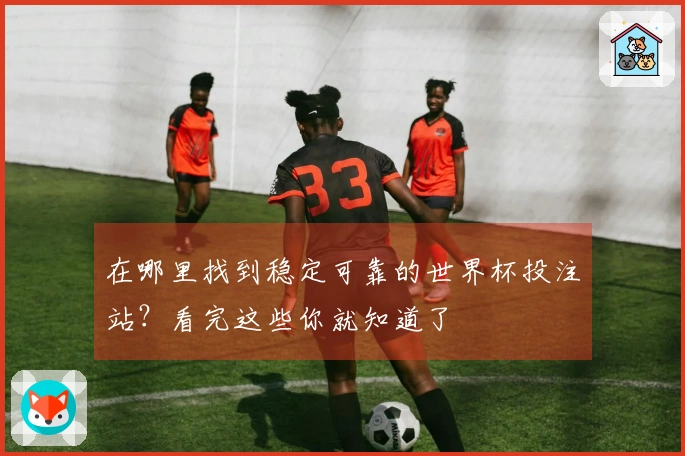 在哪里找到稳定可靠的世界杯投注站？看完这些你就知道了