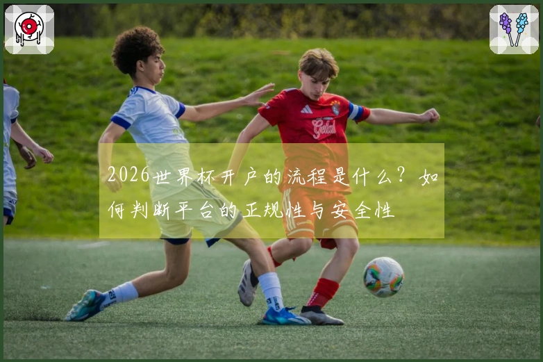 2026世界杯开户的流程是什么？如何判断平台的正规性与安全性