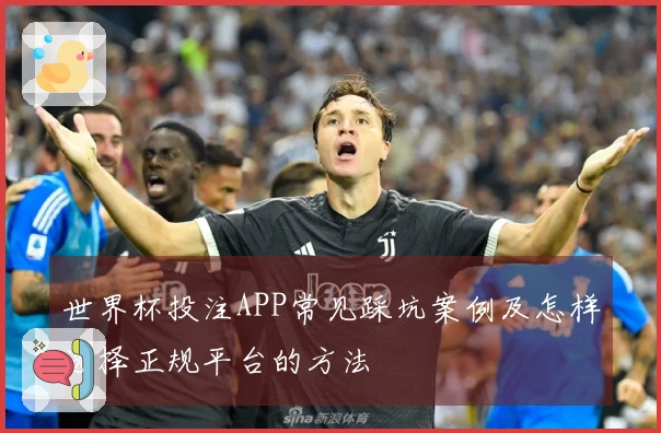 世界杯投注APP常见踩坑案例及怎样选择正规平台的方法